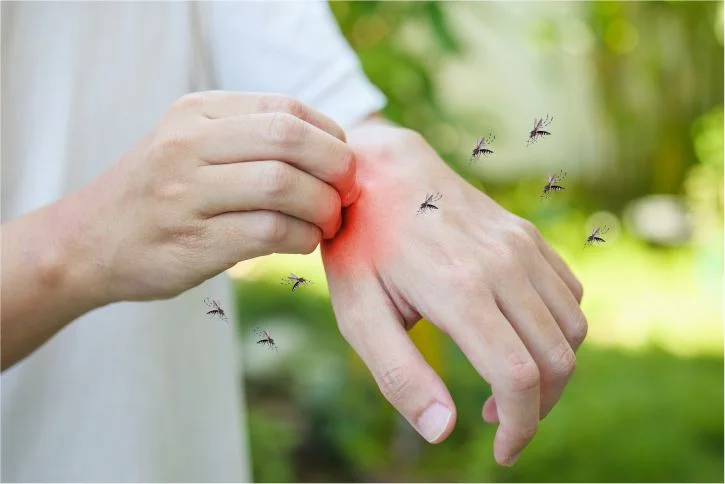 ¡Vuela por tus sueños y lejos del Dengue! Protégete de los mosquitos